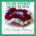 Team Spirit Scrunchie 7