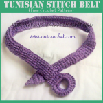 Tunisian Stitch Belt Crochet Pattern